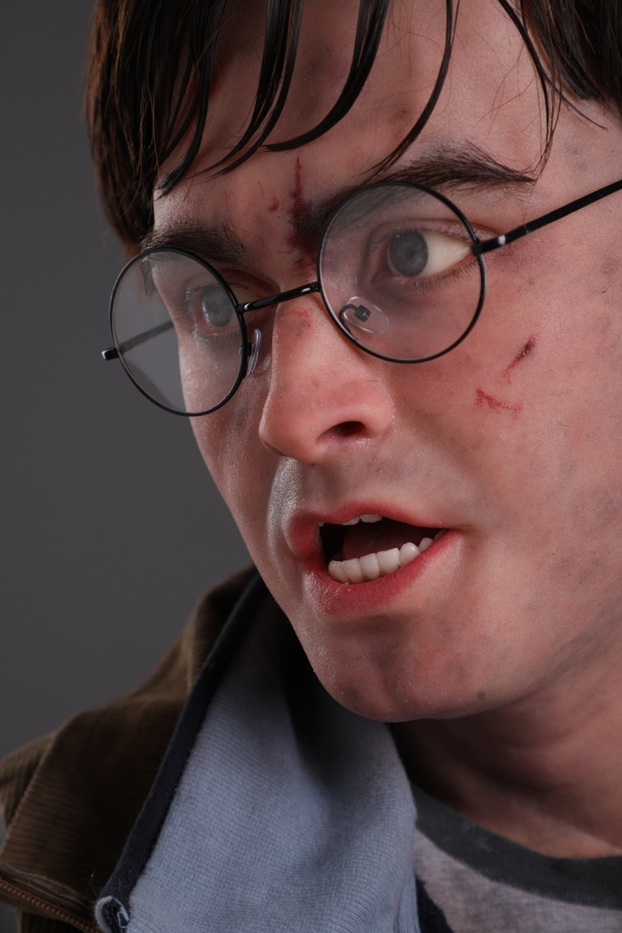 Harry Potter 1:1 Lifesize Bust by Walt Wizard