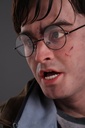 Harry Potter 1:1 Lifesize Bust by Walt Wizard