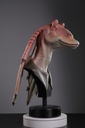 Jar Jar Binks 1:1 Lifesize Bust by Walt Wizard